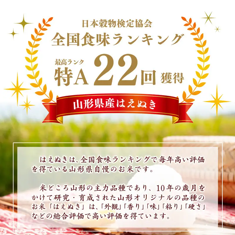 【〈毎月〉2026年12月上旬開始】《先行予約》【令和8年産 6回定期便】はえぬき 合計30kg（5kg×6回）清流寒河江川育ち 山形産はえぬき 山形県産 2026年産 精米 30キロ　069-C-JA022-202612上-毎月