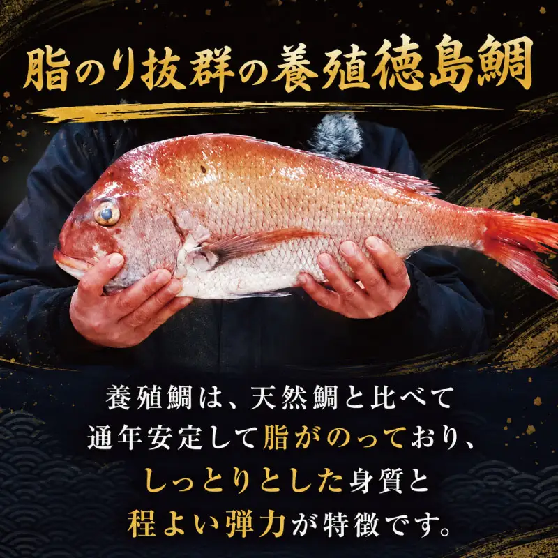 鯛 切り身 6切れ 鯛 切り身