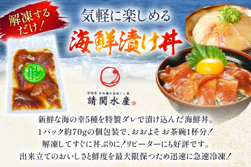 海鮮丼 漬丼 全5種 6食 セット