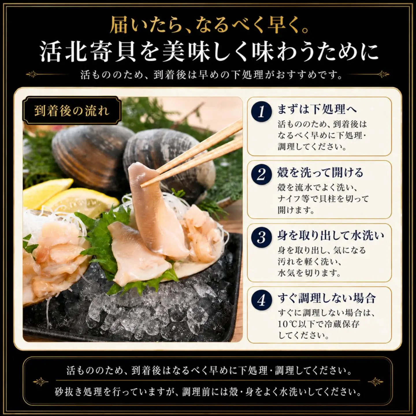 【北海道根室産】活北寄貝(殻付き)8玉 計約2.2kg A-20015