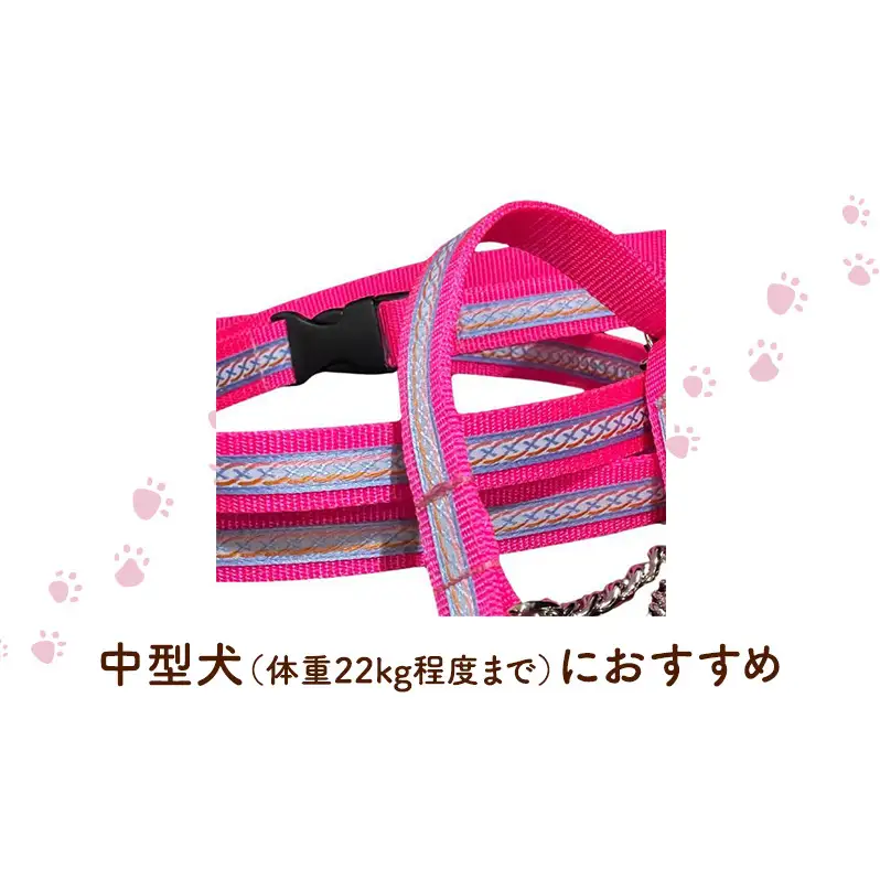 【中型犬用・Mサイズ】 ハーフチョークカラーとリードのセット（シルバー＆ピンク） ペット用品 首輪 リード 中型犬 日本製 ペット 犬 ワンちゃん 静岡 浜松市