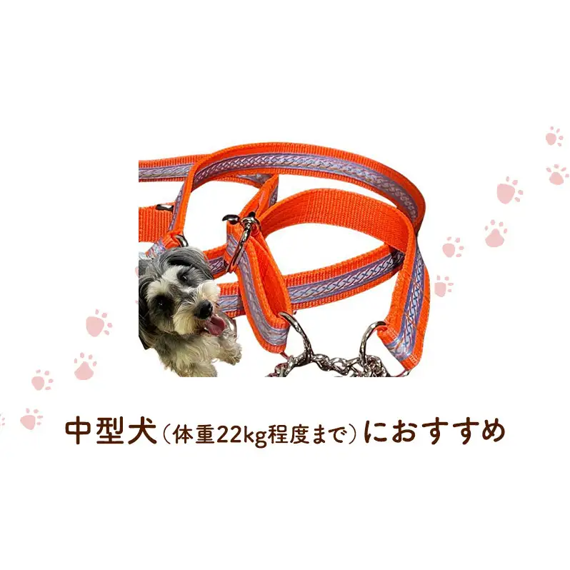 【中型犬用・Mサイズ】 ハーフチョークカラーとリードのセット（シルバーライン&蛍光オレンジ） ペット用品 首輪 リード 中型犬 日本製 ペット 犬 ワンちゃん 静岡 浜松市