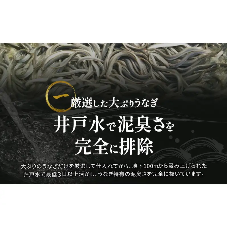 国産 うなぎ 蒲焼 1尾 (約160g×1尾 タレ75ml×1本 山椒×1袋) 鰻 国産 浜松うなぎ 浜名湖うなぎ 蒲焼き プレゼント 贈答 浜名湖 産地直送 冷凍 冷凍配送 静岡 浜松市