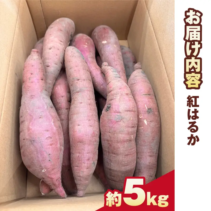 【先行予約】さつまいも（紅はるか） 約5kg