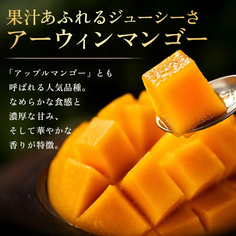 ぼうけんの国 宝石マンゴー 【訳あり品】アーウィンマンゴー  約2kg ku01-009