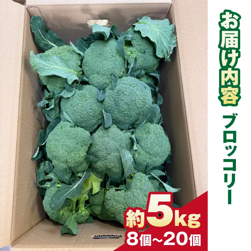 【先行予約】ブロッコリー 約5kg
