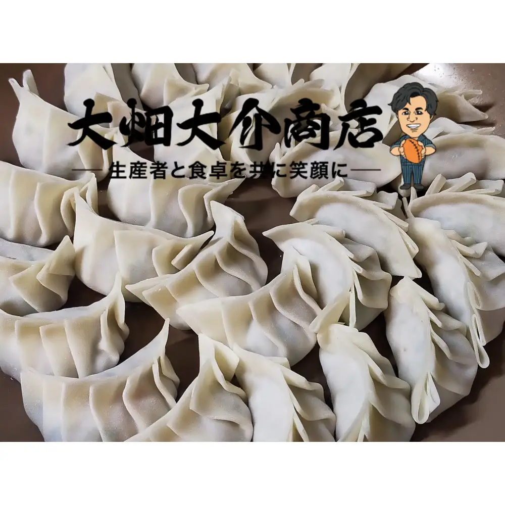 【京阪百貨店厳選】大畑大介商店オリジナル　ダイスケのジャンボねぎ餃子 10個×2P