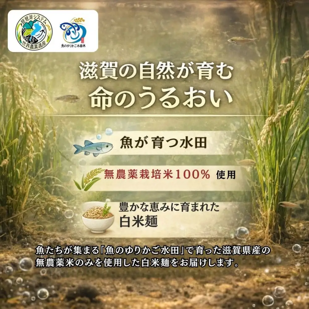 無農薬・グルテンフリー 滋賀県野洲市産 白米麺 7食セット 100g×7袋
