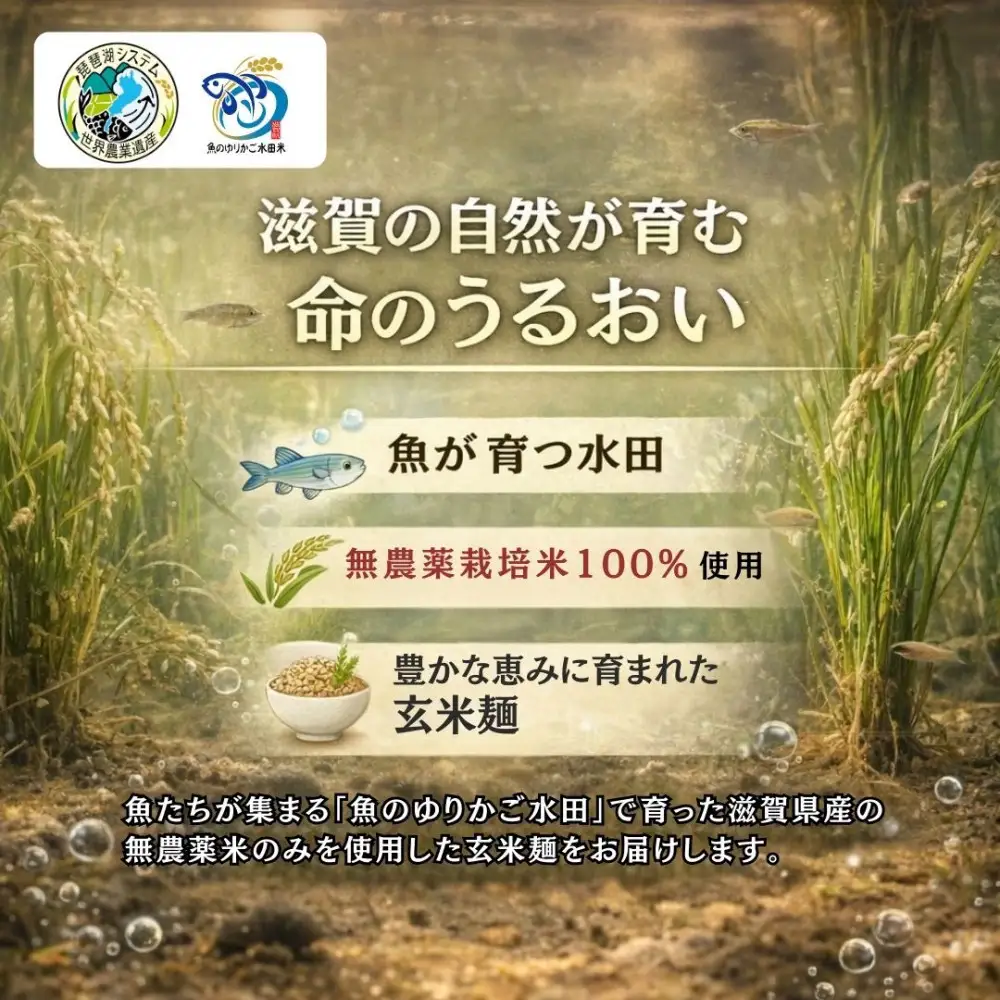 無農薬・グルテンフリー 滋賀県野洲市産 玄米麺 7食セット 100g×7袋