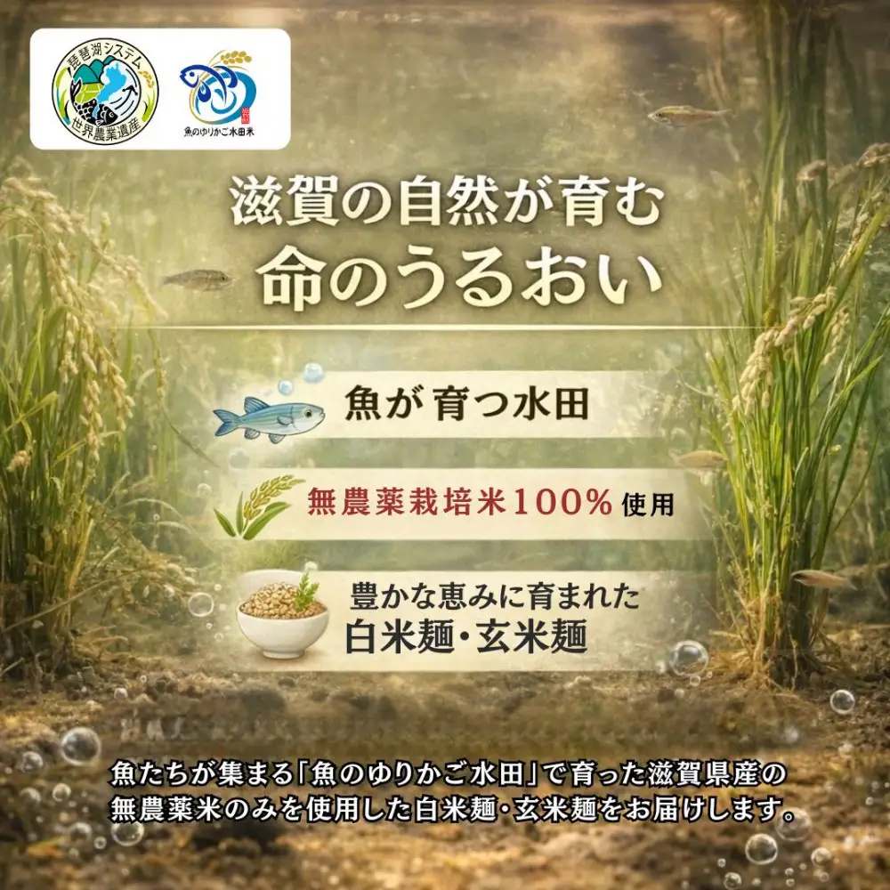 無農薬・グルテンフリー 滋賀県野洲市産 2種の麺 8食セット 100g×8袋