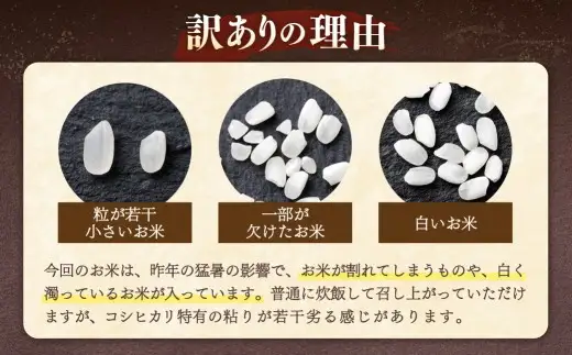 【 数量限定 ・ 訳あり 】令和7年産 コシヒカリ（ 10kg ）