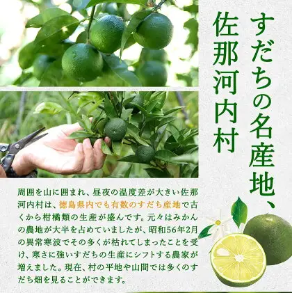 爽快！ 100% すだち 果汁 2000ml JA徳島市農産工場 すだち