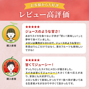 【2026年7月下旬頃より発送】すいか メロン 各1玉 セット すいか 大玉 Lサイズ 