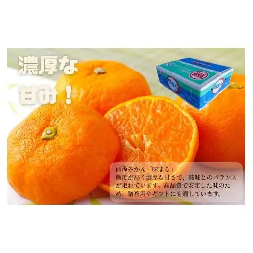 【 早期受付 】西海みかん 味まる 3kg 糖度12度以上 ブランドみかん 佐世保 【 12月発送 】