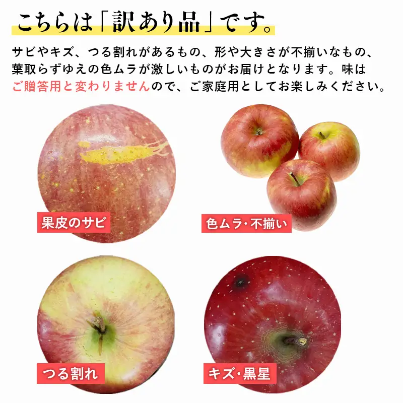 りんご サンふじ 訳あり 約5kg りんご