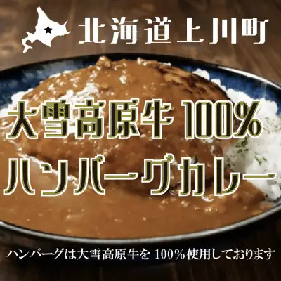 大雪高原牛100%ハンバーグカレー250g×3箱 有名店ガクヤバーガー監修の男前仕立て 常温保存可