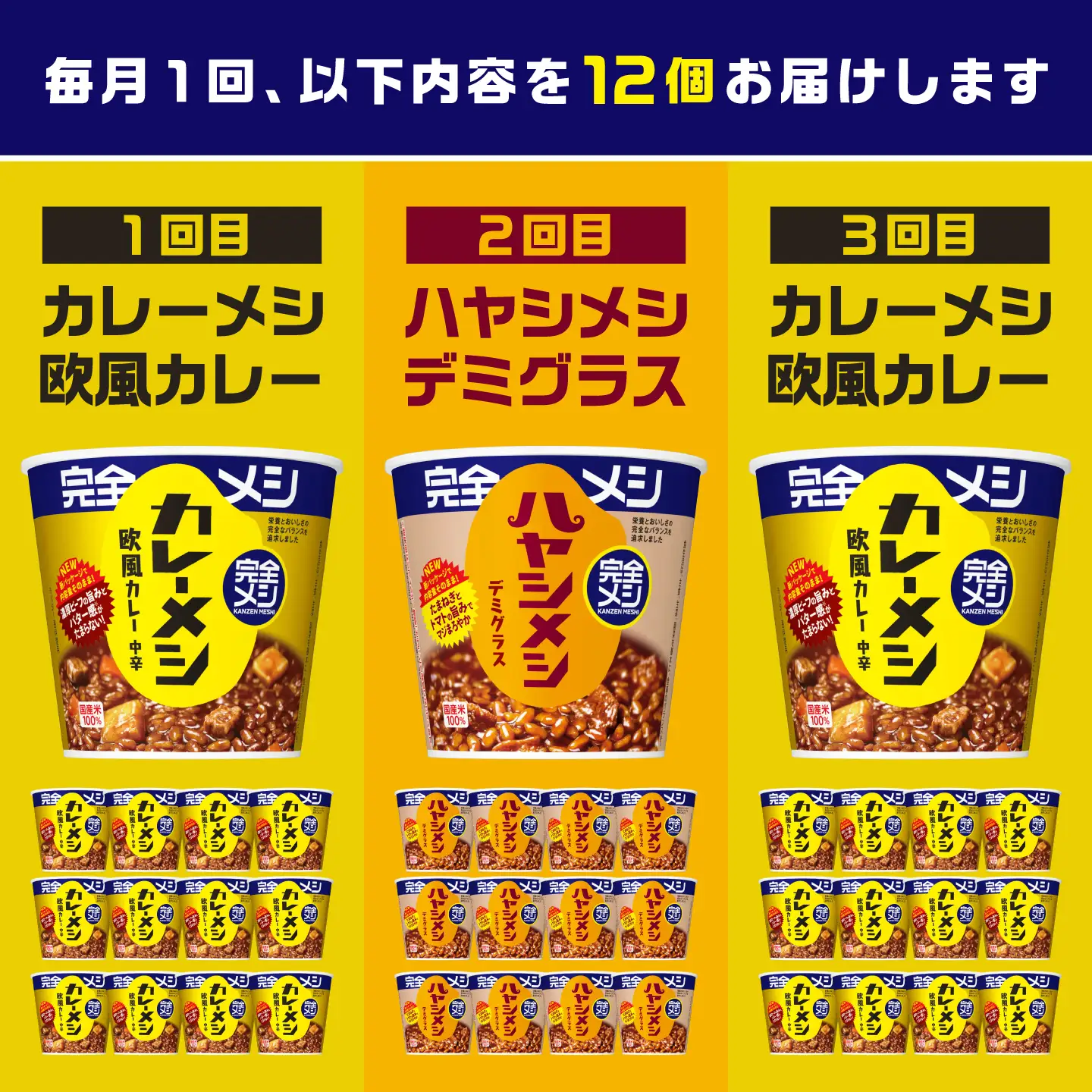 【3回定期便】完全メシバリエーション定期便(欧風カレー・ハヤシメシ デミグラス・欧風カレー) BIBI042 