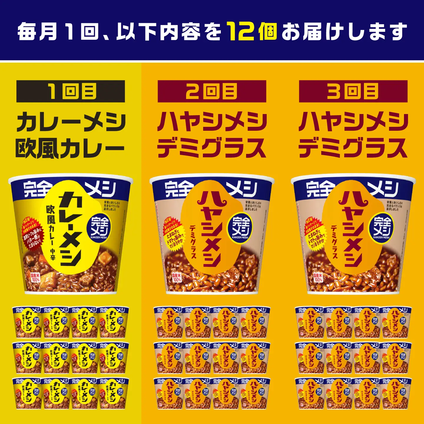 【3回定期便】完全メシバリエーション定期便（欧風カレー・ハヤシメシ デミグラス・ハヤシメシ デミグラス）[BIBI043]