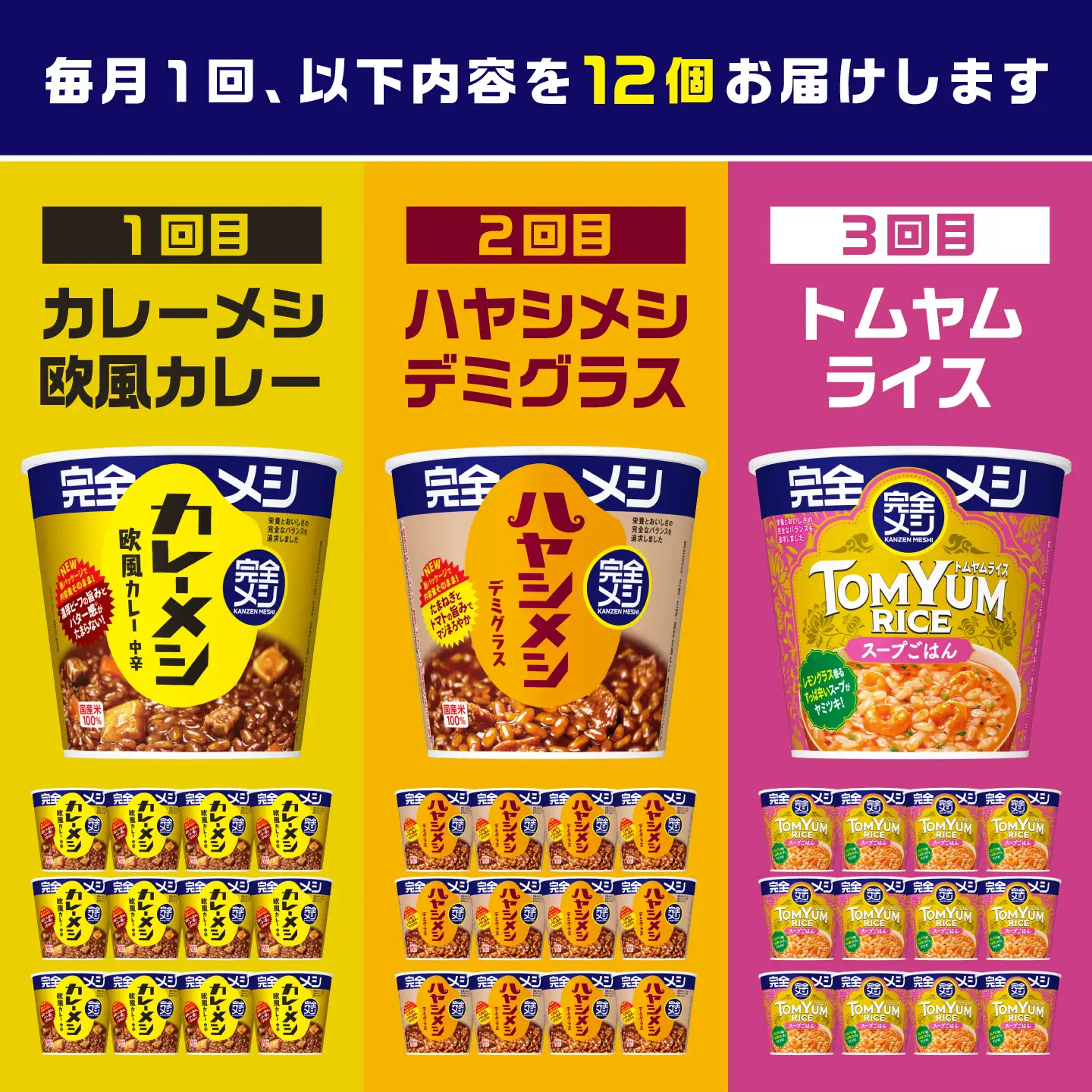 【3回定期便】完全メシバリエーション定期便（欧風カレー・ハヤシメシ デミグラス・トムヤムライス）[BIBI044]