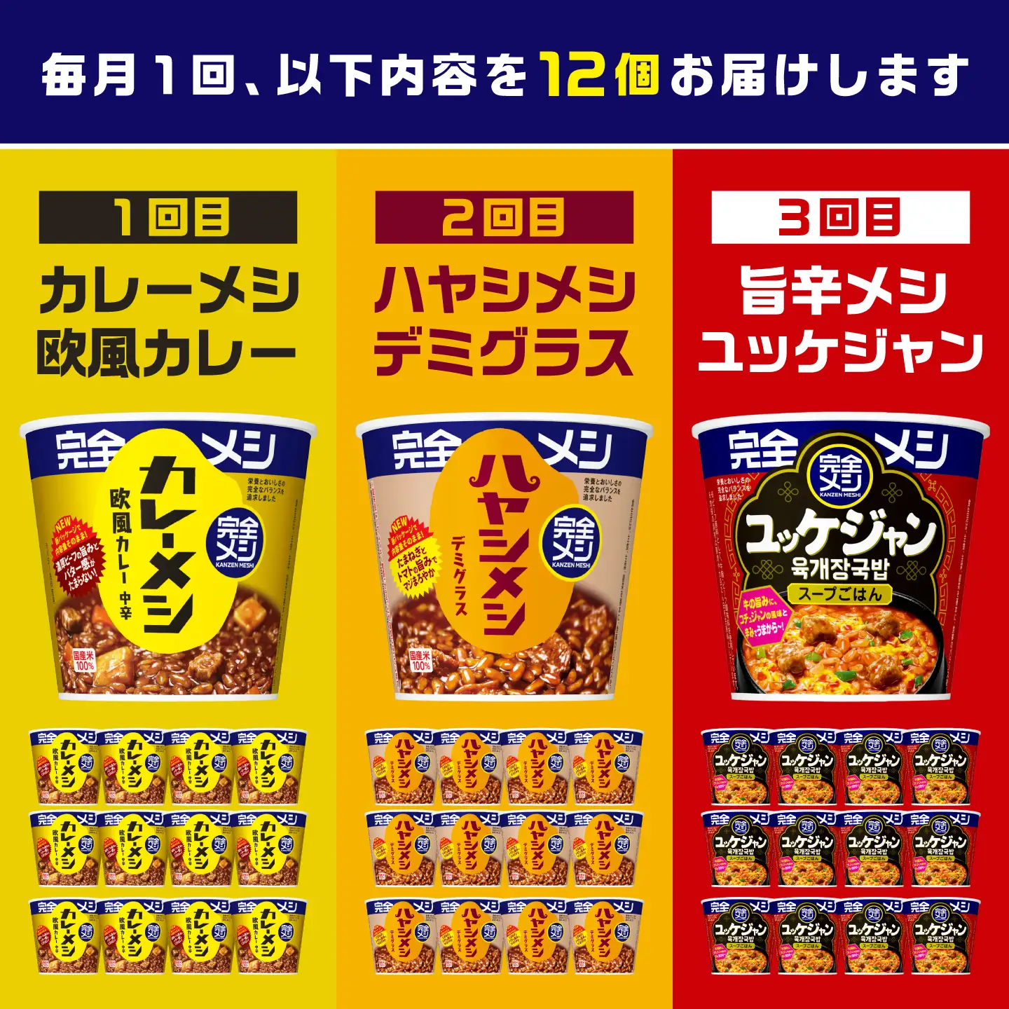 【3回定期便】完全メシバリエーション定期便（欧風カレー・ハヤシメシ デミグラス・旨辛ユッケジャン）[BIBI045]