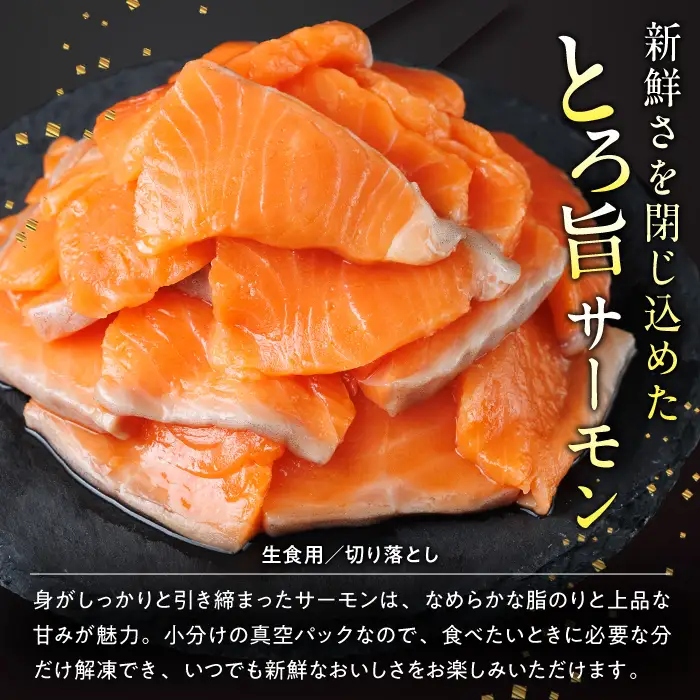 お刺身用 サーモン切り落とし (計1kg) 鮭 小分け 真空 パック 冷凍 刺身 シャケ サケ 魚 魚介 漬け丼 海鮮丼 【AW-116】【丸正水産】