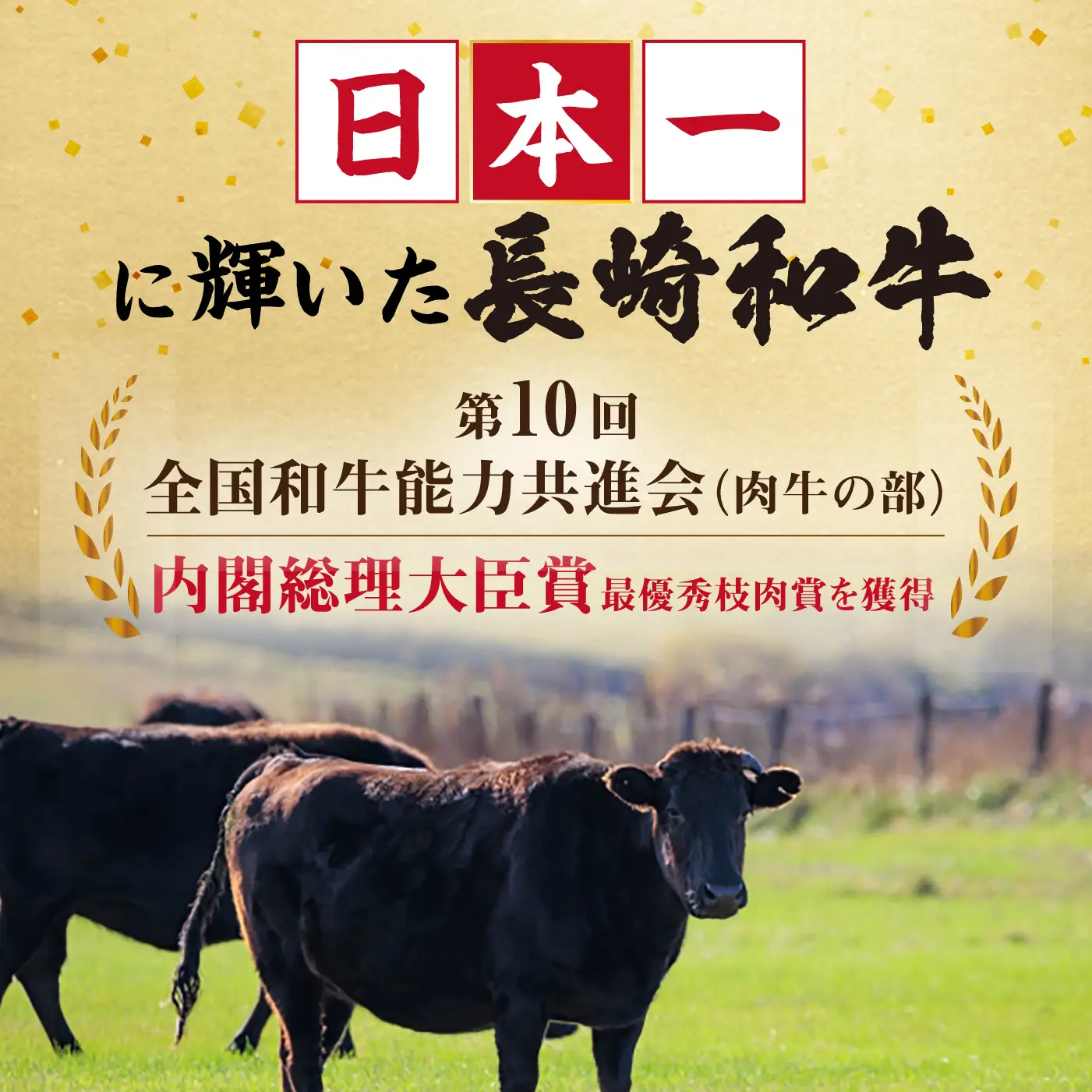 長崎和牛プルコギ切り落とし 500g 冷凍真空パック / 和牛 牛肉 プルコギ 味付け肉 味付け済み 真空パック / 大村市 かとりストアー[ACAN154]