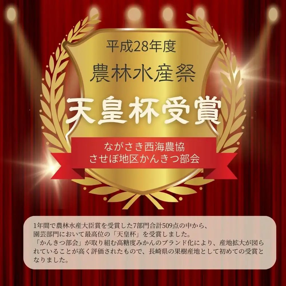 【 早期受付 】西海みかん 味まる 5kg 糖度12度以上 ブランドみかん 佐世保 【 11月発送 】