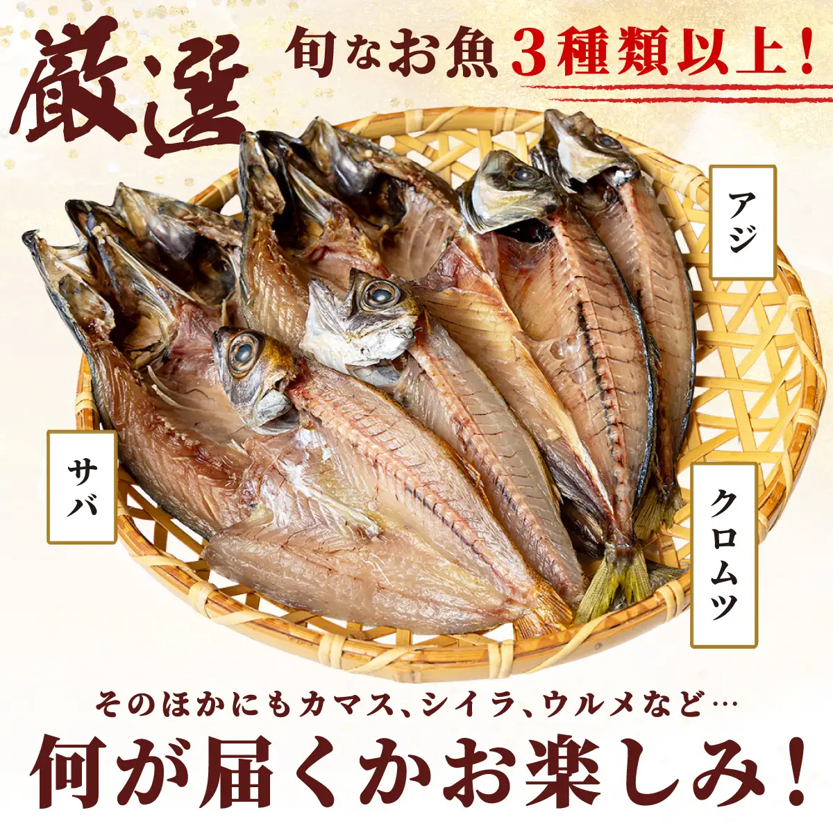 【訳アリ】干物詰め合わせ お任せ3種以上 500g