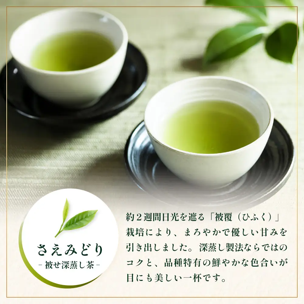 【至福のひとときを贈る】ナナ茶　極上！飲み比べ３種セット RS-14｜高級緑茶 被せ茶 玉露仕立て 鹿児島茶 茶 茶葉 お茶の葉 日本茶 新茶 鹿児島茶 無農薬 化学肥料不使用 シングルオリジン ブレンド茶 ケルセチン おしゃれ ギフト 贈答 プレゼント 特別 ティーバッグ 鹿児島県 南大隅町 株式会社Re-Shine