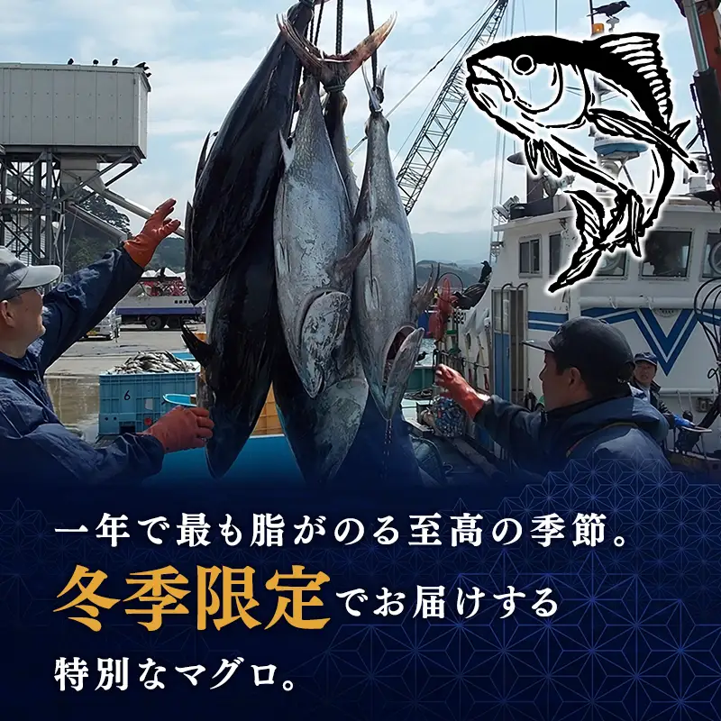  天然本マグロ 大トロ 200g×2  [fu-0015-018_12]