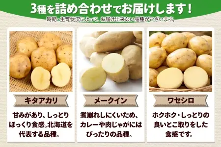 牧之瀬牧場 じゃがいも詰め合わせ 3kg 農薬不使用 3品種からおまかせ キタアカリ メークイン ワセシロ 北海道 弟子屈町 【ふるなび限定】3681