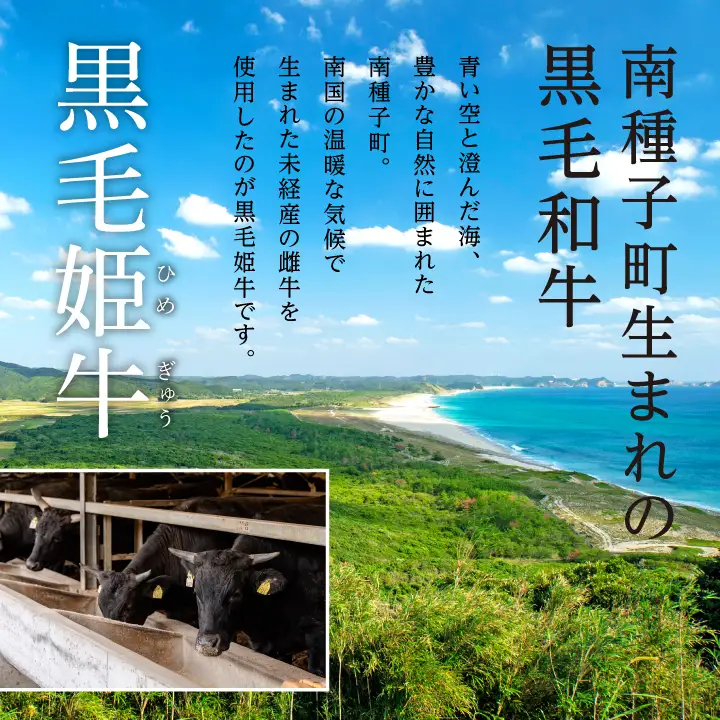 黒毛姫牛「リブロースしゃぶしゃぶ・すき焼き・焼肉用400ｇ」A4未経産黒毛和牛