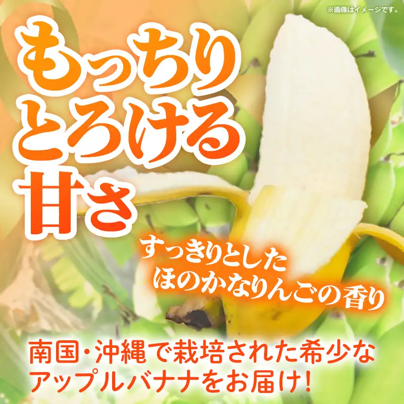 畑人のアップルバナナ 約3kg - バナナ ばなな 小ぶり もっちり とろける 甘さ 追熟 沖縄県 産地直送 果物 フルーツ 南国 朝食 おすすめ 沖縄県 八重瀬町