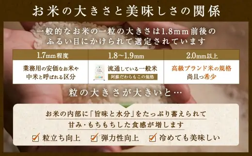 阿蘇だわらプレミアム米 精米 15kg ( 5kg × 3袋 ) お米 米 こめ コメ 白米 白飯 飯 ご飯 おにぎり 国産 熊本県産 大粒 粒立ち 食感 定期 定期配送 【3ヶ月定期便】