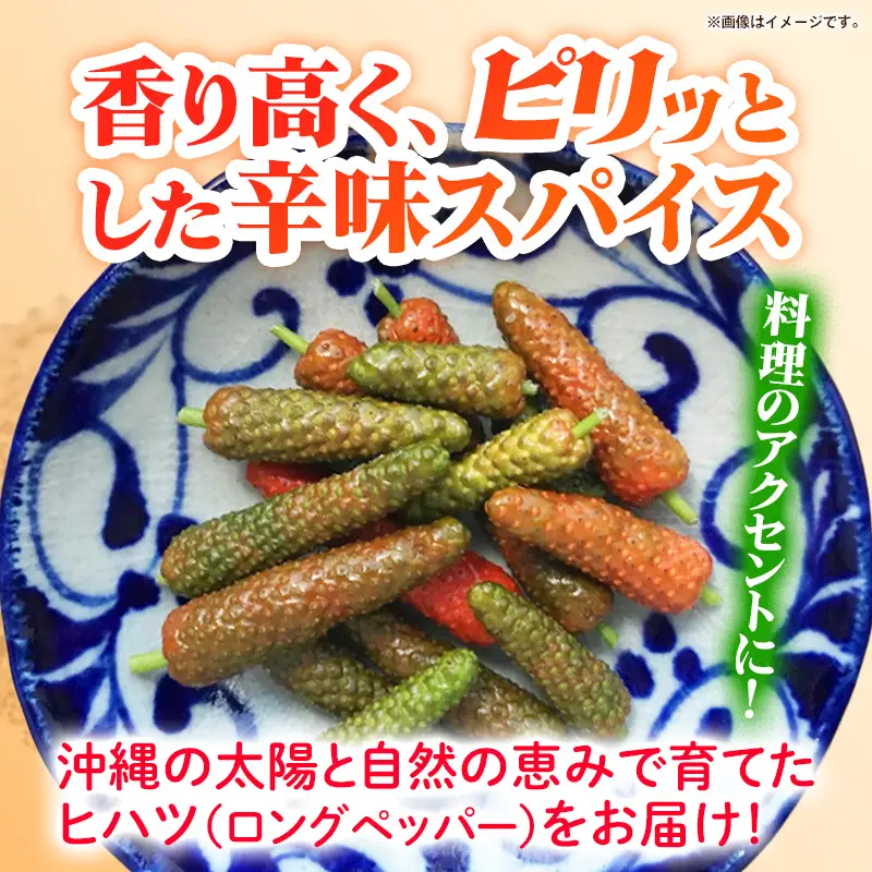 【先行受付・2026年発送】畑人のヒハツ 約500g - ピパーチ ロングペッパー ヒバーチ ナガコショウ フィファチ 国産 沖縄県産 先行予約 スパイス 香辛料 おすすめ 送料無料 八重瀬町