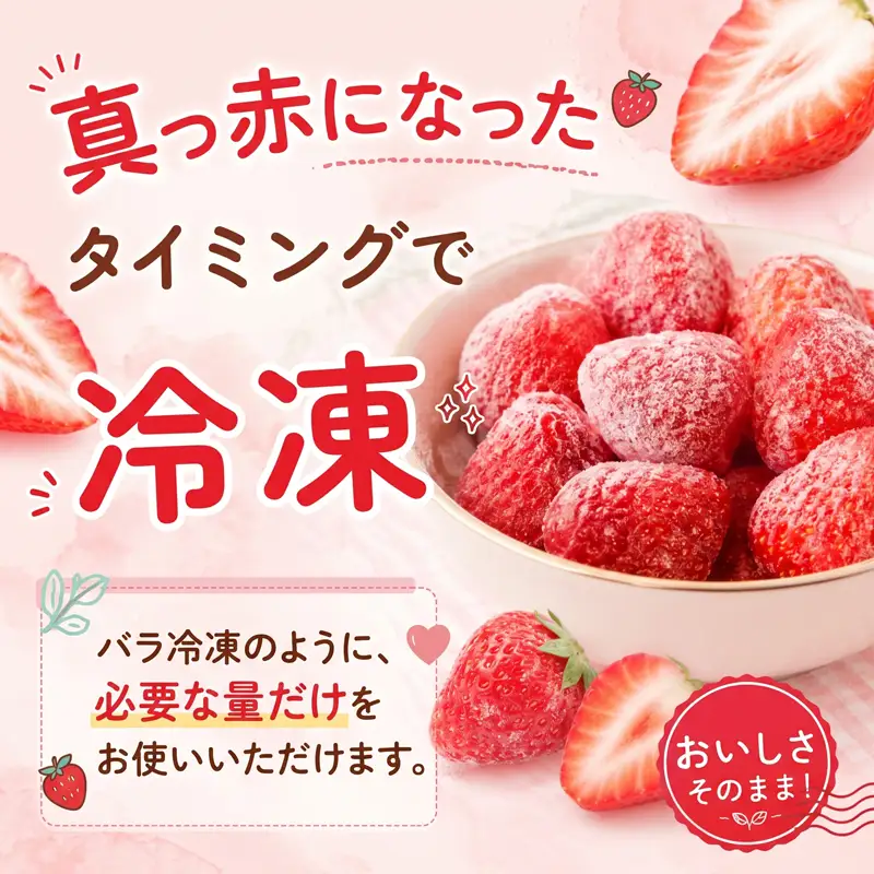 いちご 冷凍 訳あり 3kg いちご