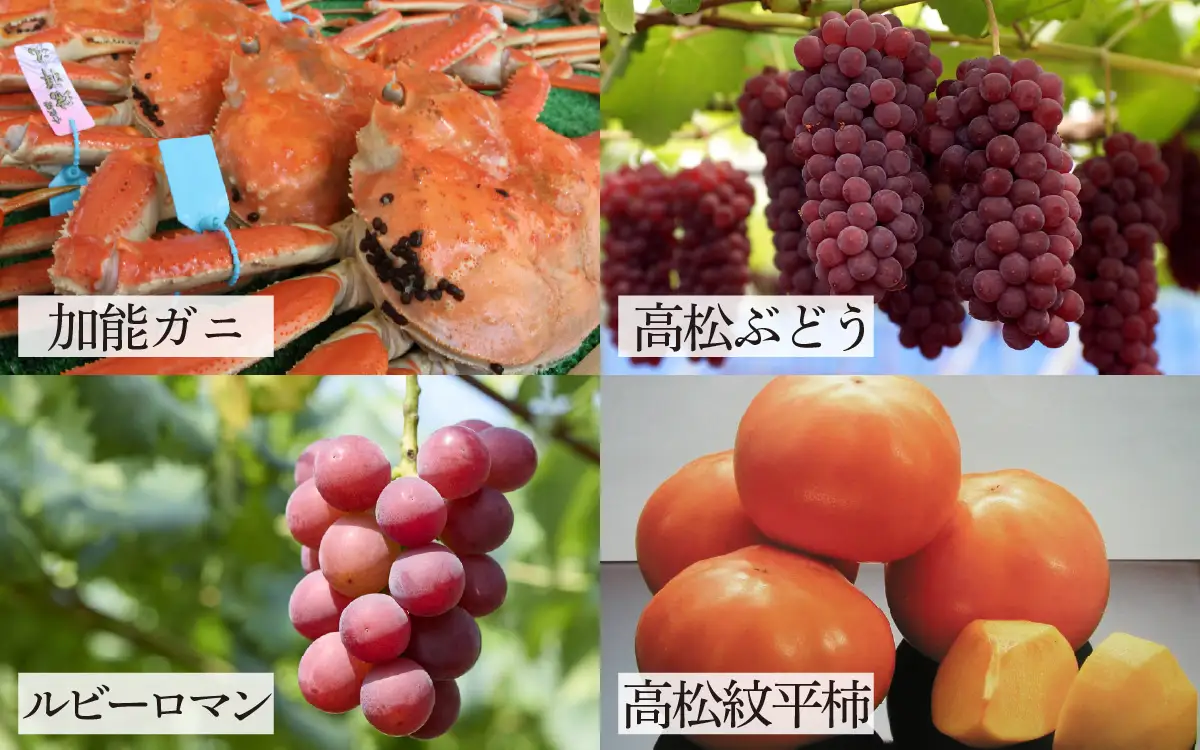 かほく市 おためしセット ～旨味便～（全16品）