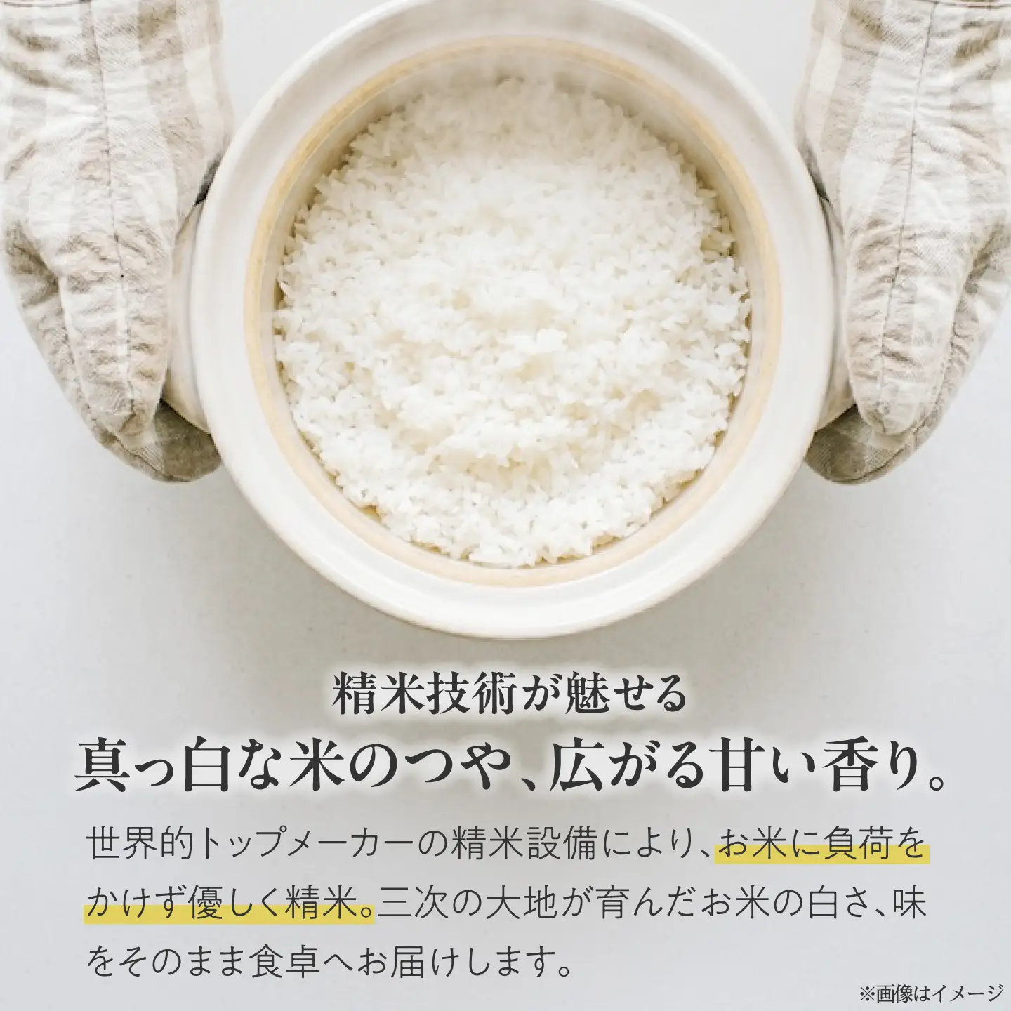 こしひかり 20kg 三次市 / 食協株式会社[APDK009]こしひかり