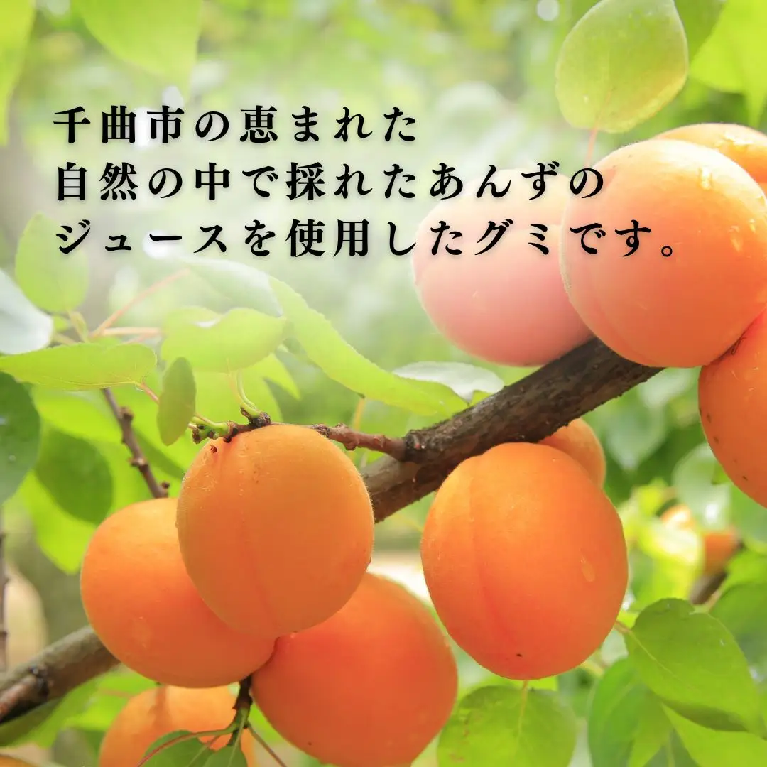 信州 千曲市 森産 あんずグミ5個セット (60g×5個) ｜ グミ