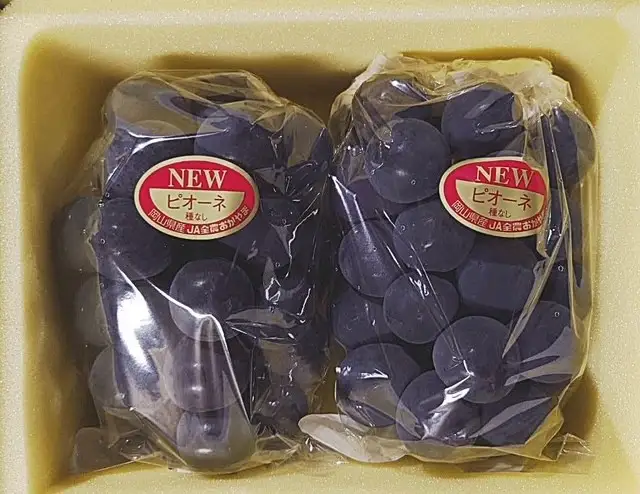 ニューピオーネ2房 (約940g) 化粧箱入り 岡山県産