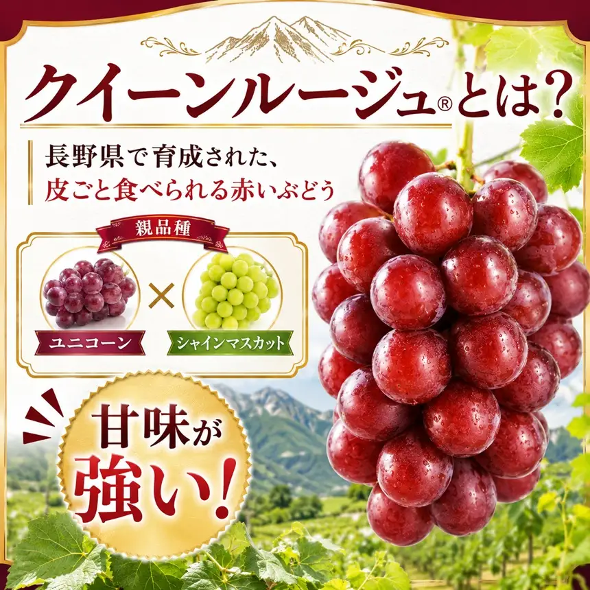 八ヶ岳西麓産 クイーンルージュ® 2房 (1kg以上)【2026年9月中旬～発送】