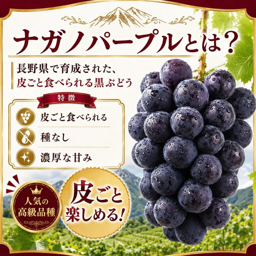 八ヶ岳西麓産 ナガノパープル 2房（計1kg以上）【2026年9月中旬～発送】