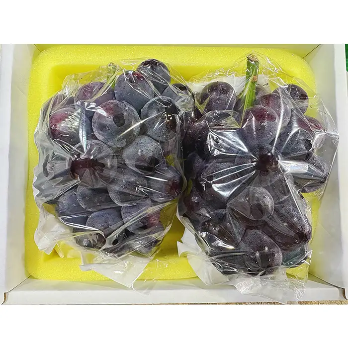 オーロラブラック 2房 (約1.1kg) 化粧箱入り 岡山県産