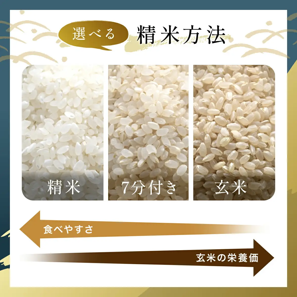米 精米 令和8年産 先行予約 やくの自然栽培米 亀の尾 7分づき  5kg ゆたか（ゆたか自然農園）