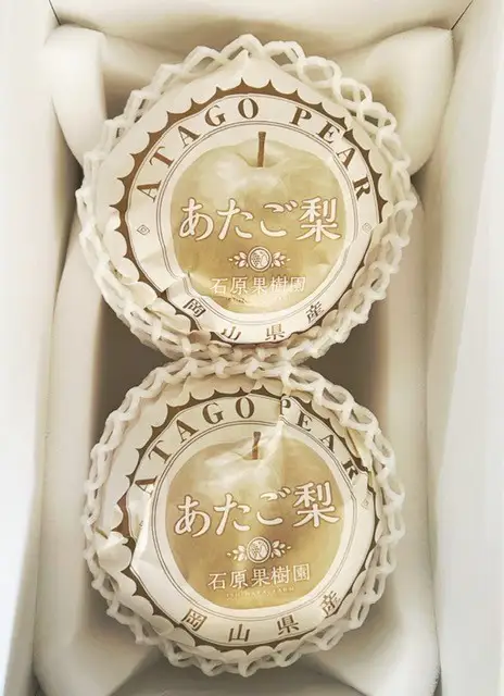あたご梨 2玉 青秀以上 (約1.4kg )化粧箱入り 岡山県産