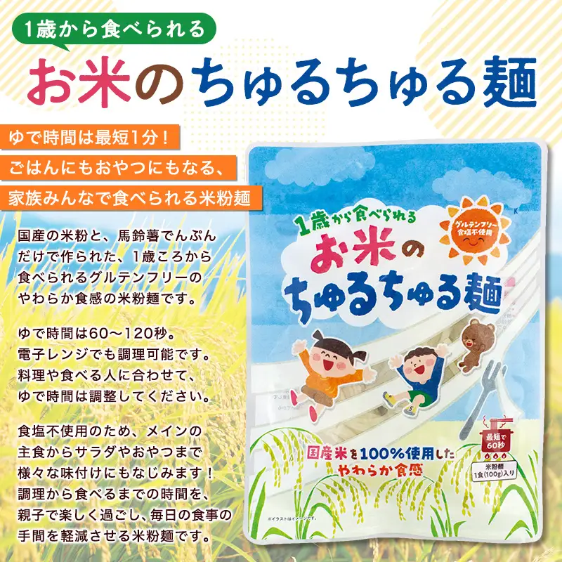 【米粉麺】お米のちゅるちゅる麺 100g×30袋 FY26-115