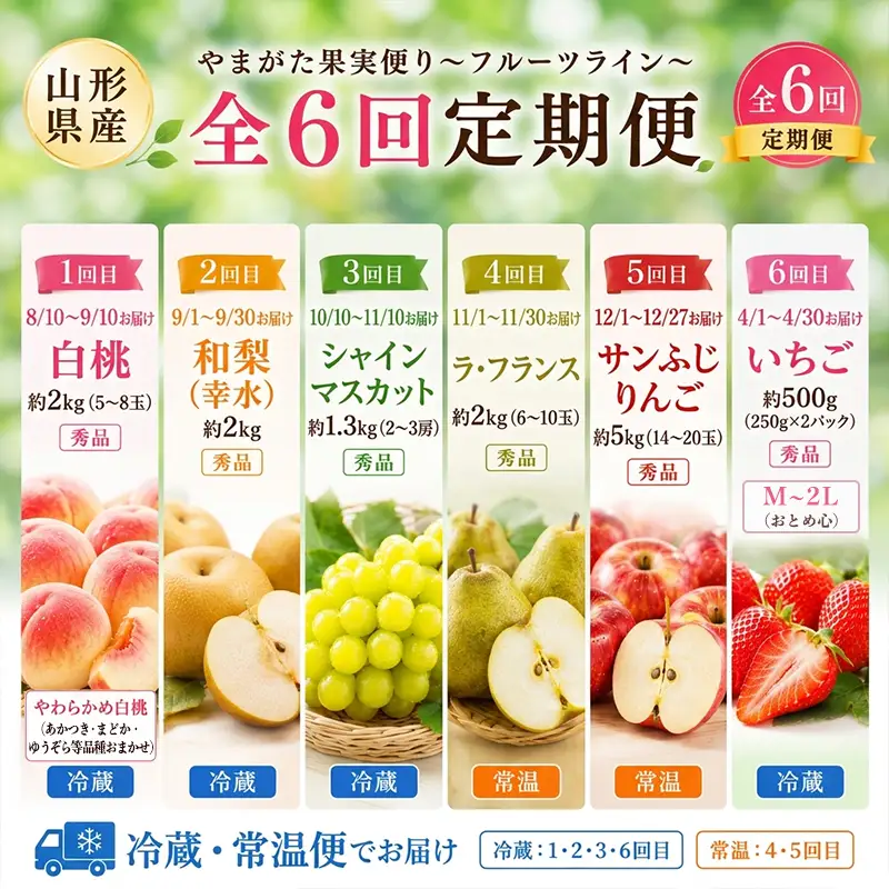 【定期便6回】やまがた果実便り＝フルーツライン＝ (白桃 梨 シャインマスカット ラ・フランス りんご いちご ) FY26-182