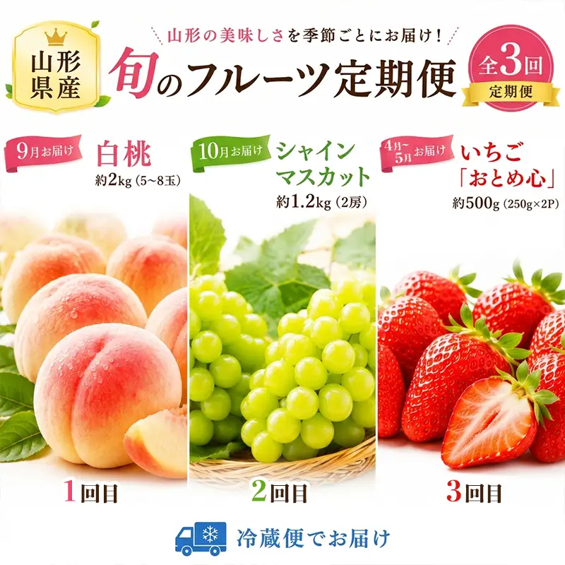 【定期便3回】果樹園の推し果実３選 果樹園が選んだ、旬の自信作 FY26-184