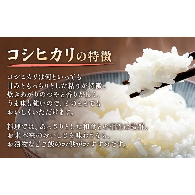 【先行予約】特別栽培米 コシヒカリ 2kg 山本農園 コシヒカリ