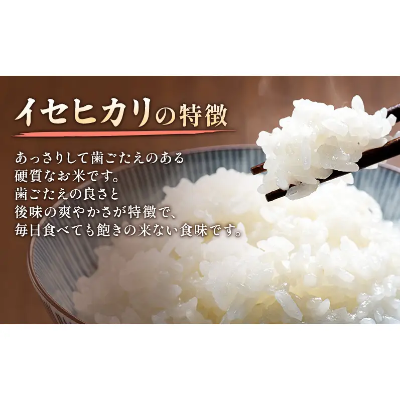 【先行予約】特別栽培米 イセヒカリ 5kg 山本農園 イセヒカリ
